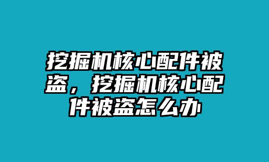 挖掘機(jī)核心配件被盜，挖掘機(jī)核心配件被盜怎么辦