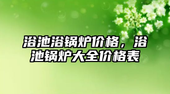 浴池浴鍋爐價格，浴池鍋爐大全價格表