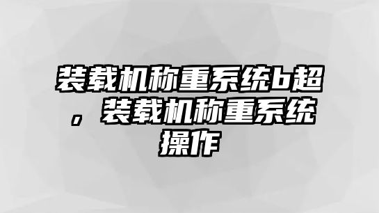 裝載機稱重系統(tǒng)b超，裝載機稱重系統(tǒng)操作