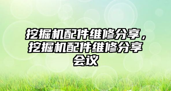 挖掘機配件維修分享，挖掘機配件維修分享會議