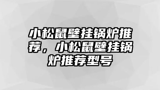 小松鼠壁掛鍋爐推薦，小松鼠壁掛鍋爐推薦型號