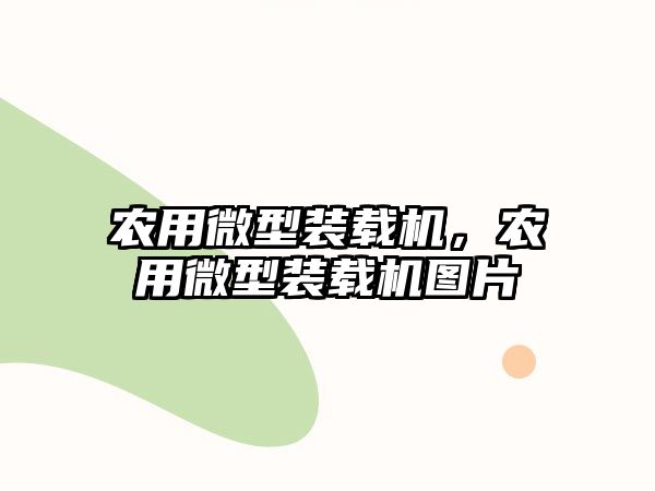 農(nóng)用微型裝載機，農(nóng)用微型裝載機圖片