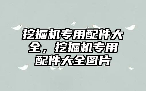 挖掘機專用配件大全，挖掘機專用配件大全圖片