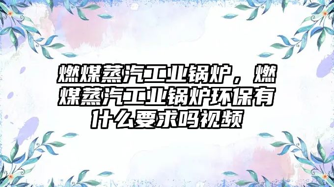 燃煤蒸汽工業(yè)鍋爐，燃煤蒸汽工業(yè)鍋爐環(huán)保有什么要求嗎視頻