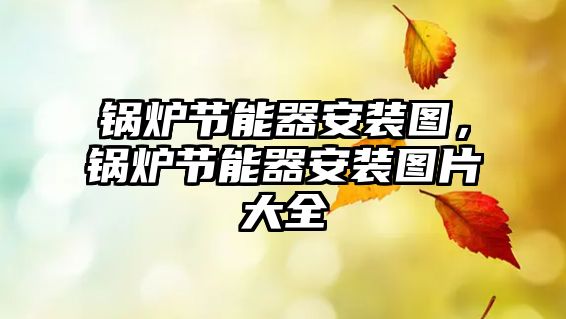 鍋爐節(jié)能器安裝圖，鍋爐節(jié)能器安裝圖片大全