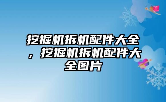 挖掘機拆機配件大全，挖掘機拆機配件大全圖片