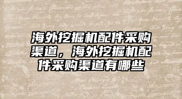 海外挖掘機配件采購渠道，海外挖掘機配件采購渠道有哪些