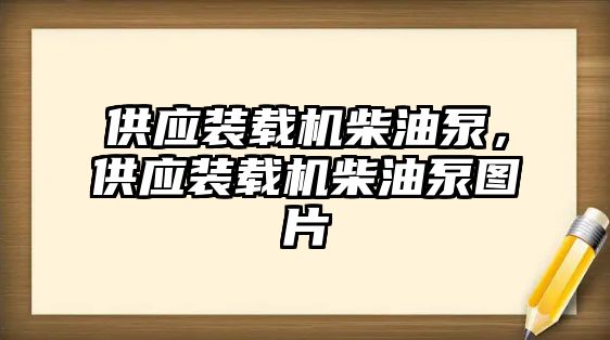 供應(yīng)裝載機(jī)柴油泵，供應(yīng)裝載機(jī)柴油泵圖片