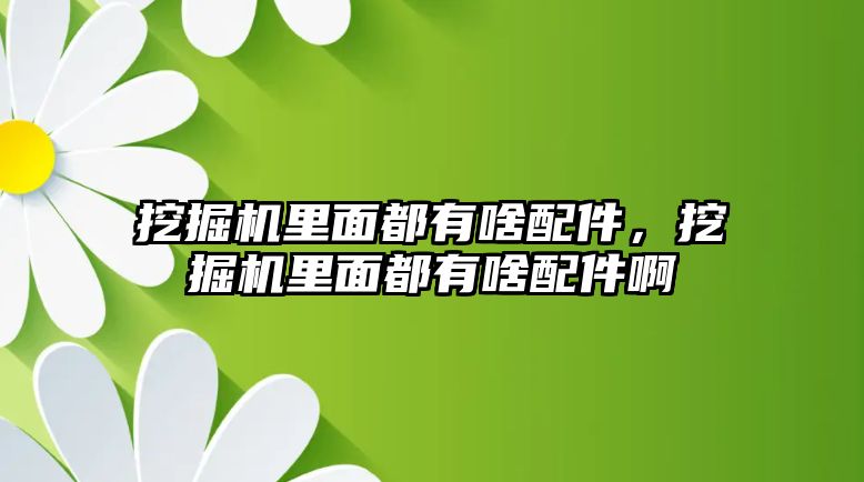 挖掘機(jī)里面都有啥配件，挖掘機(jī)里面都有啥配件啊