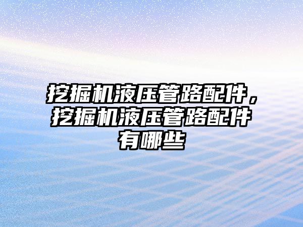 挖掘機液壓管路配件，挖掘機液壓管路配件有哪些