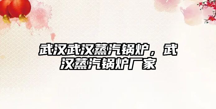 武漢武漢蒸汽鍋爐，武漢蒸汽鍋爐廠家