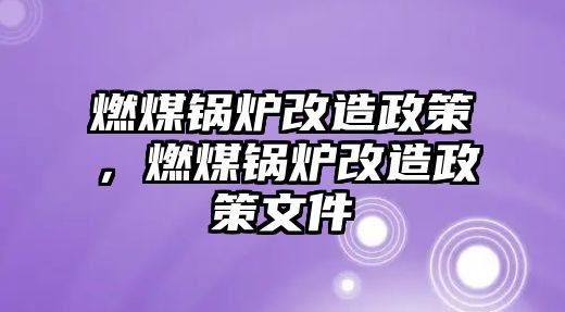 燃煤鍋爐改造政策，燃煤鍋爐改造政策文件