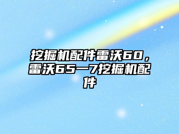 挖掘機配件雷沃60，雷沃65一7挖掘機配件