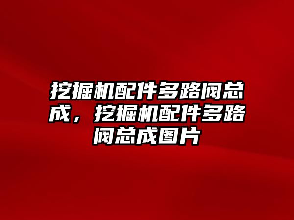 挖掘機(jī)配件多路閥總成，挖掘機(jī)配件多路閥總成圖片