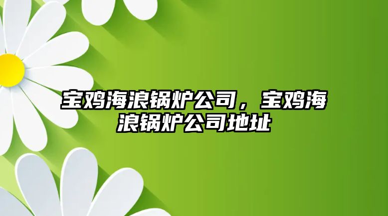 寶雞海浪鍋爐公司，寶雞海浪鍋爐公司地址