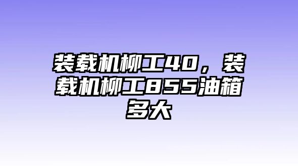 裝載機(jī)柳工40，裝載機(jī)柳工855油箱多大