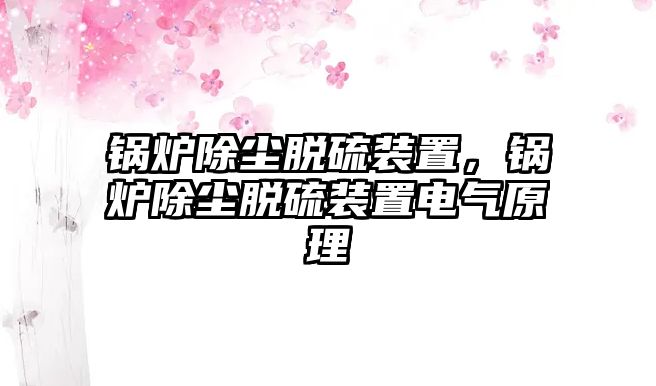 鍋爐除塵脫硫裝置，鍋爐除塵脫硫裝置電氣原理