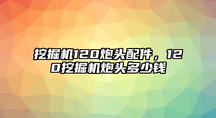 挖掘機120炮頭配件，120挖掘機炮頭多少錢