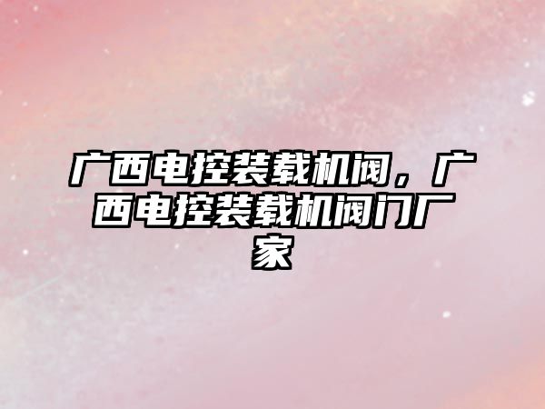 廣西電控裝載機閥，廣西電控裝載機閥門廠家