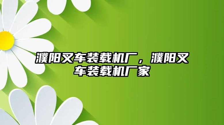 濮陽叉車裝載機廠，濮陽叉車裝載機廠家