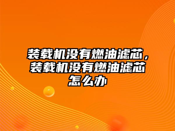 裝載機沒有燃油濾芯，裝載機沒有燃油濾芯怎么辦