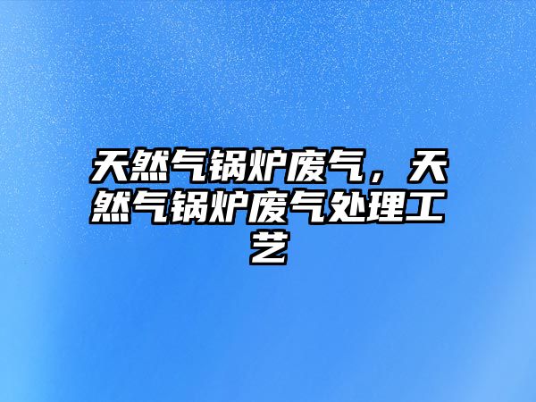 天然氣鍋爐廢氣，天然氣鍋爐廢氣處理工藝