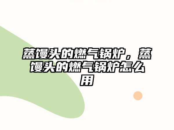 蒸饅頭的燃?xì)忮仩t，蒸饅頭的燃?xì)忮仩t怎么用