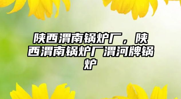 陜西渭南鍋爐廠，陜西渭南鍋爐廠渭河牌鍋爐