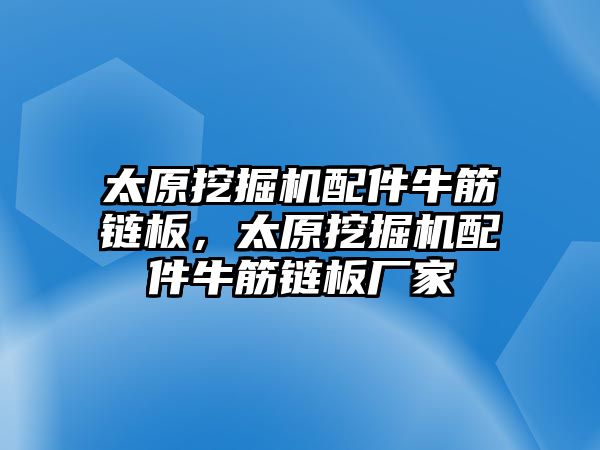 太原挖掘機配件牛筋鏈板，太原挖掘機配件牛筋鏈板廠家