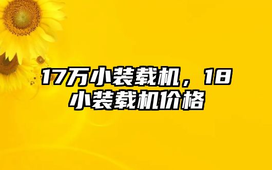 17萬小裝載機(jī)，18小裝載機(jī)價(jià)格