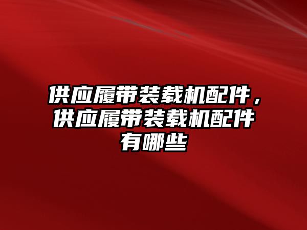 供應履帶裝載機配件，供應履帶裝載機配件有哪些