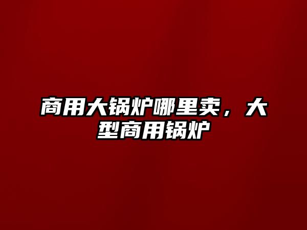 商用大鍋爐哪里賣，大型商用鍋爐