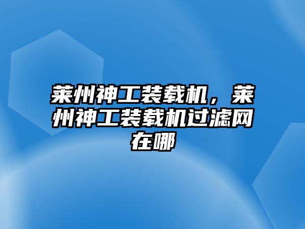 萊州神工裝載機，萊州神工裝載機過濾網(wǎng)在哪