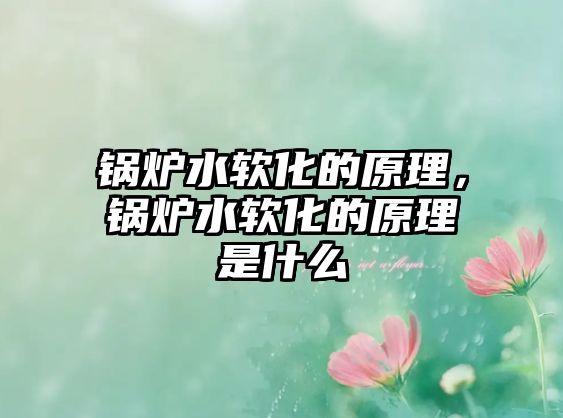 鍋爐水軟化的原理，鍋爐水軟化的原理是什么