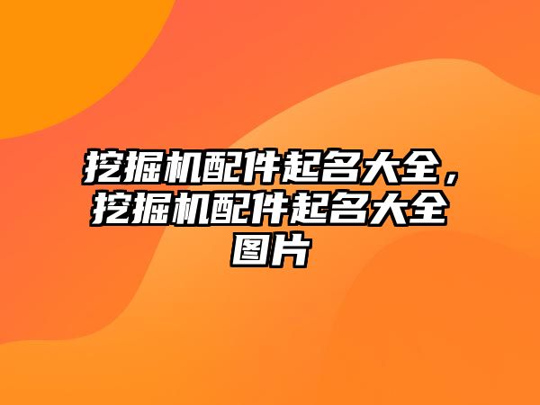 挖掘機配件起名大全，挖掘機配件起名大全圖片