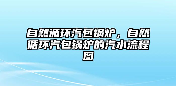 自然循環(huán)汽包鍋爐，自然循環(huán)汽包鍋爐的汽水流程圖