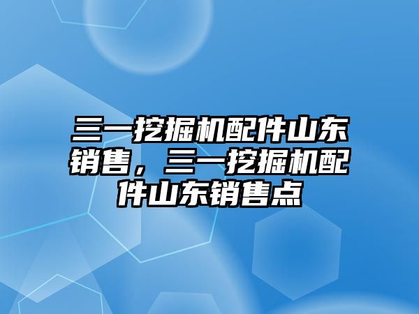 三一挖掘機配件山東銷售，三一挖掘機配件山東銷售點