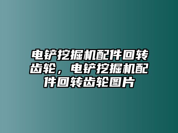 電鏟挖掘機配件回轉(zhuǎn)齒輪，電鏟挖掘機配件回轉(zhuǎn)齒輪圖片