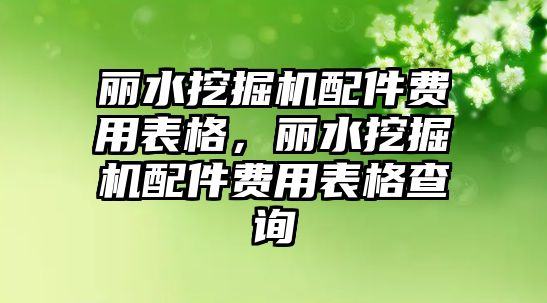 麗水挖掘機配件費用表格，麗水挖掘機配件費用表格查詢