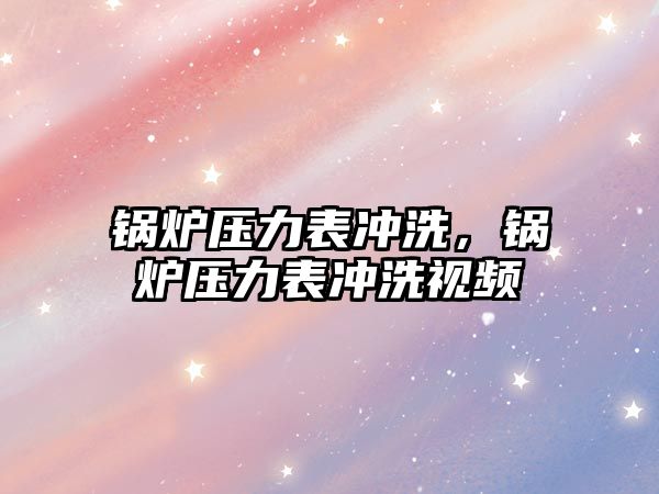 鍋爐壓力表沖洗，鍋爐壓力表沖洗視頻