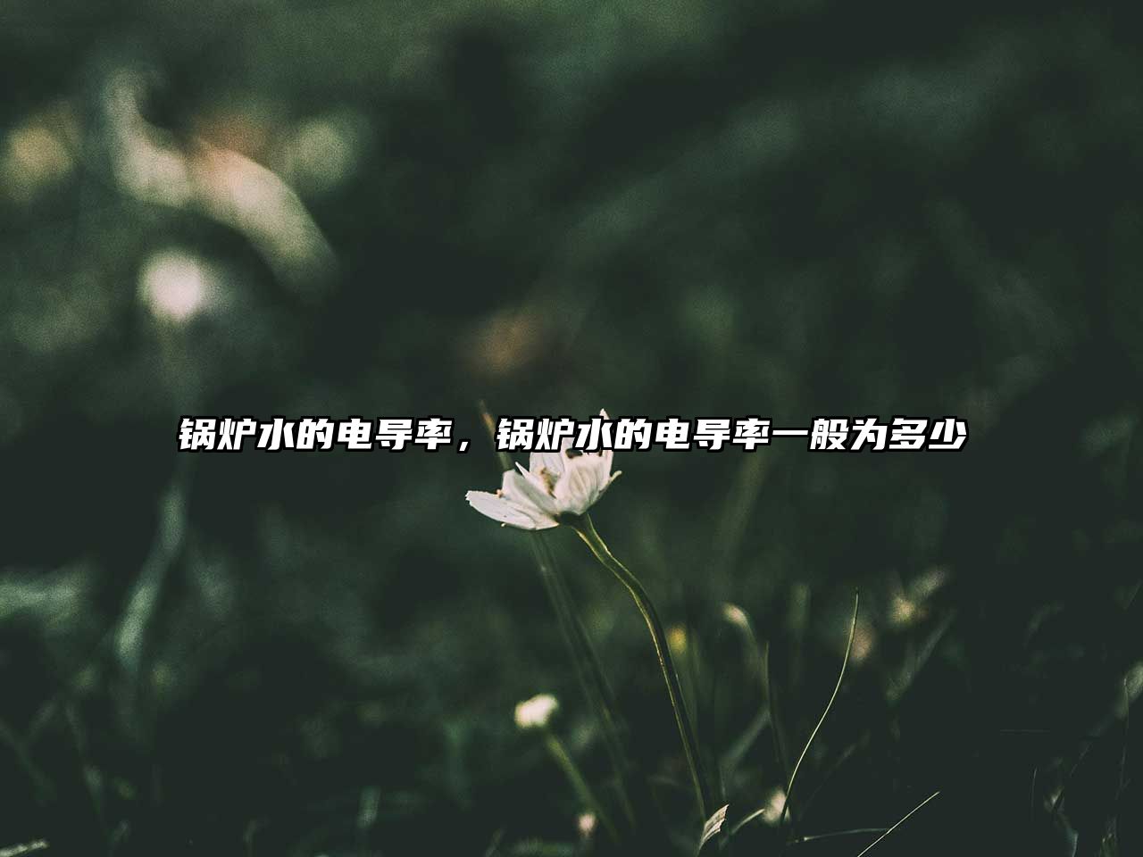 鍋爐水的電導(dǎo)率，鍋爐水的電導(dǎo)率一般為多少