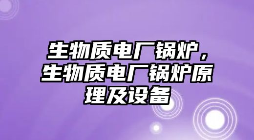 生物質(zhì)電廠鍋爐，生物質(zhì)電廠鍋爐原理及設(shè)備