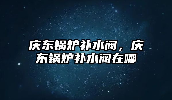 慶東鍋爐補水閥，慶東鍋爐補水閥在哪