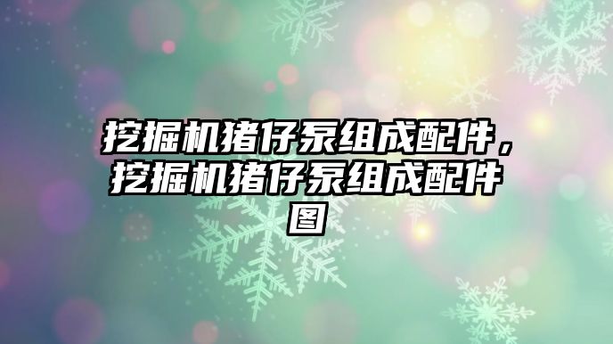 挖掘機豬仔泵組成配件，挖掘機豬仔泵組成配件圖