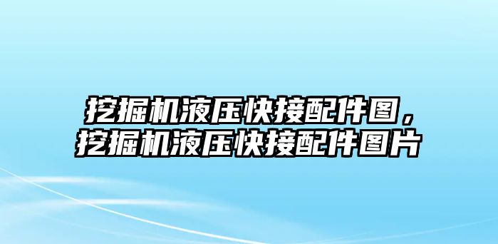 挖掘機液壓快接配件圖，挖掘機液壓快接配件圖片