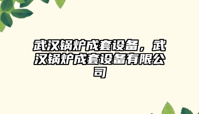 武漢鍋爐成套設(shè)備，武漢鍋爐成套設(shè)備有限公司