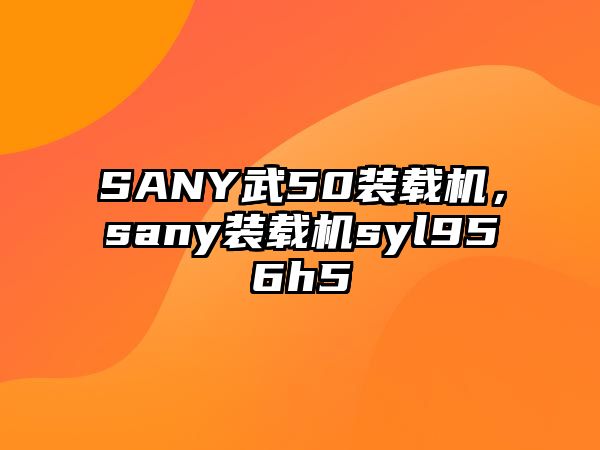 SANY武50裝載機(jī)，sany裝載機(jī)syl956h5