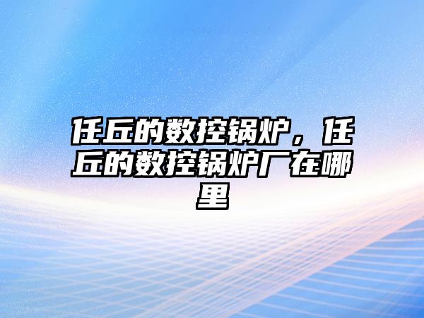 任丘的數(shù)控鍋爐，任丘的數(shù)控鍋爐廠在哪里