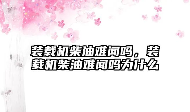 裝載機柴油難聞嗎，裝載機柴油難聞嗎為什么