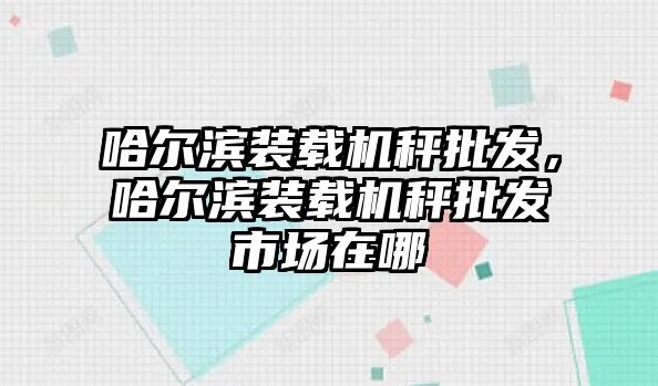 哈爾濱裝載機(jī)秤批發(fā)，哈爾濱裝載機(jī)秤批發(fā)市場在哪